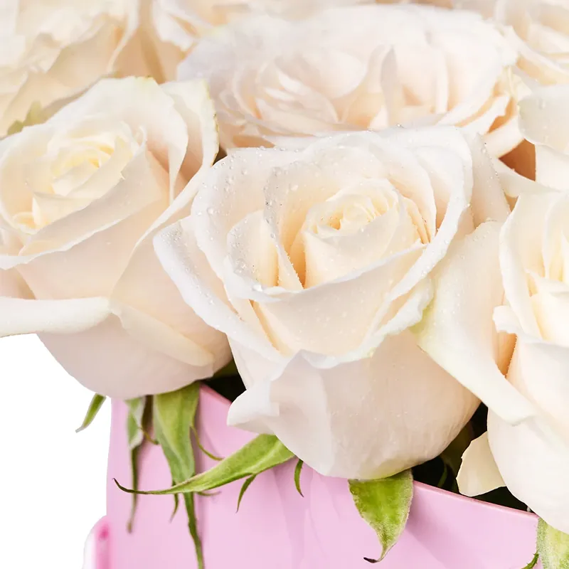 Цветы в коробке Лучезарная